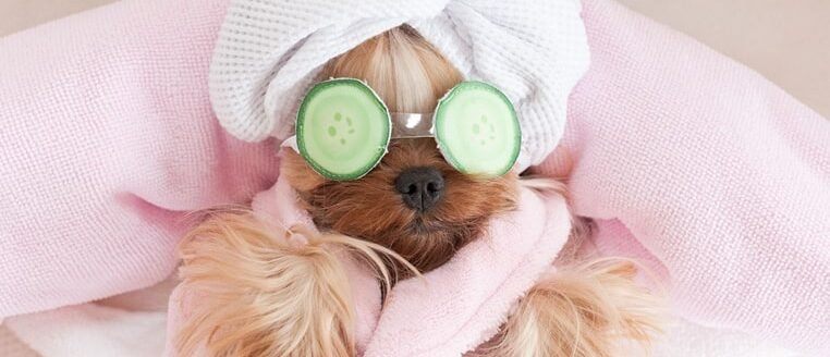 img-postgrid3
